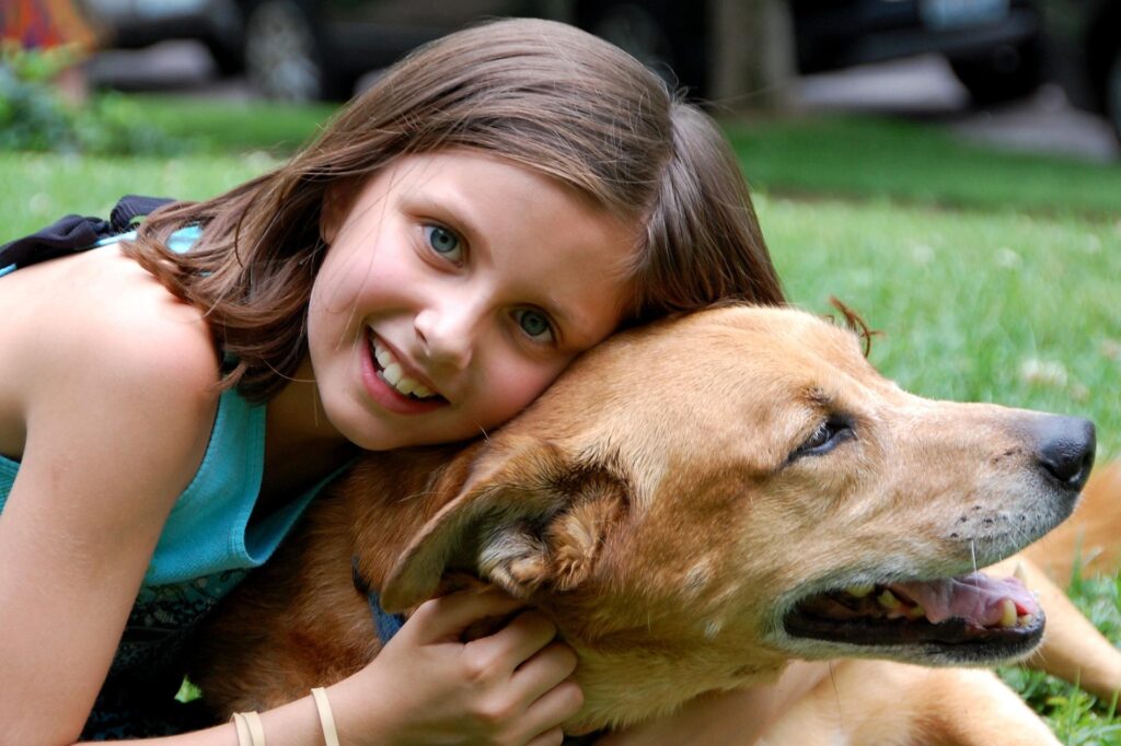 Select 15 Essential Dog Care Tips for a Healthy and Happy Dog 15 Essential Dog Care Tips for a Healthy and Happy Dog