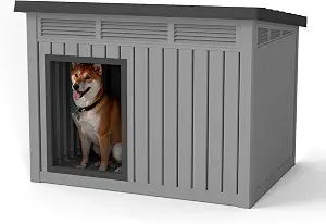 IP68 Large Dog House with Removable Roof & Elevated Ventilated Floor