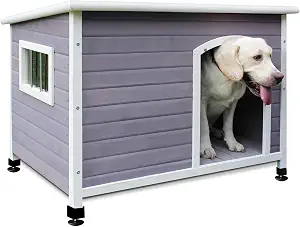 Waterproof Large Dog Houses Outdoor Indoor, 44" Wooden Outdoor Dog Houses