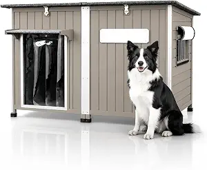55" Extra Large Dog House Outdoor for Medium to Large Breeds, Weatherproof