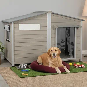 Extra Large Dog House with Anti-Chewing Frame, Outdoor Wooden Kennel