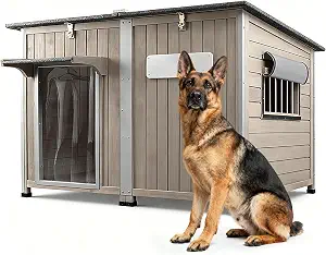 Ketive 55" Extra XL Wooden Outdoor Dog House with Iron Frame for Large Dogs