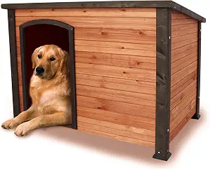 44.5" L Extra Large Dog House Outdoor Weatherproof Wooden Dog Kennel Dog Houses for Large Dogs Outside Indoor Dog House Doghouse for Winter with Raised Feet, Natural (Orange)