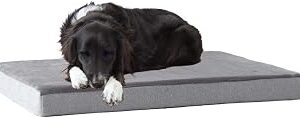BarkBox Orthopedic Dog Bed - Large