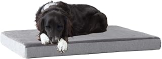 BarkBox Orthopedic Dog Bed - Large