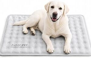 Non-Toxic Gel Cooling Mat for Dogs Large 31.5x23.6 in, Light Grey