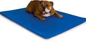 K&H Dog Cooling Mat, Cool Bed III - Medium 32x22in Chill Blue
