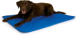 K&H Cool Bed III Large, Chill Blue catalog product image