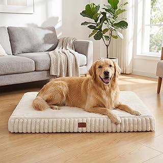 Orthopedic washable pet bed for crate catalog product image