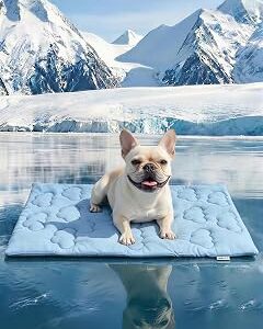 Huafly Dog Cooling Mat,Dual-Sided Cooling Mat for Dogs Cloud Blue