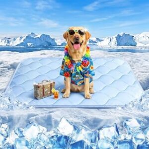 Dog Cooling Mat for Large Dogs, Long-Lasting Cool Pad for Dogs Outdoor & Indoor Use with Ice Silk Fabric & Waterproof Cover, Cooling Pet Bed 36" x 26", Non-Slip Washable Pet Blanket (Cryo Ice Blue)