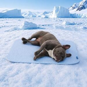 Spark Paws FrostCore Dog Cooling Mat - Non Gel Self Cooling Pet Pad