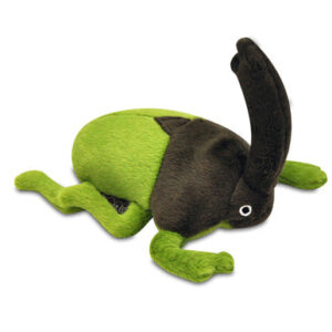 Bugging Out Ryan the Rhino Beetle