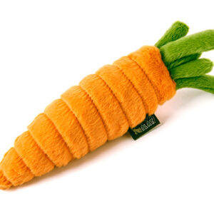Garden Fresh Carrot - XS