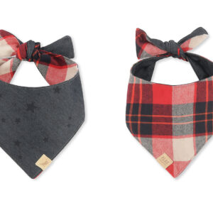 Doggy Duo Bandana - The Adventurer - S