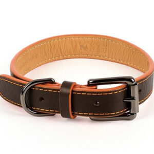 Napoli Collar - XL / Brown/Orange